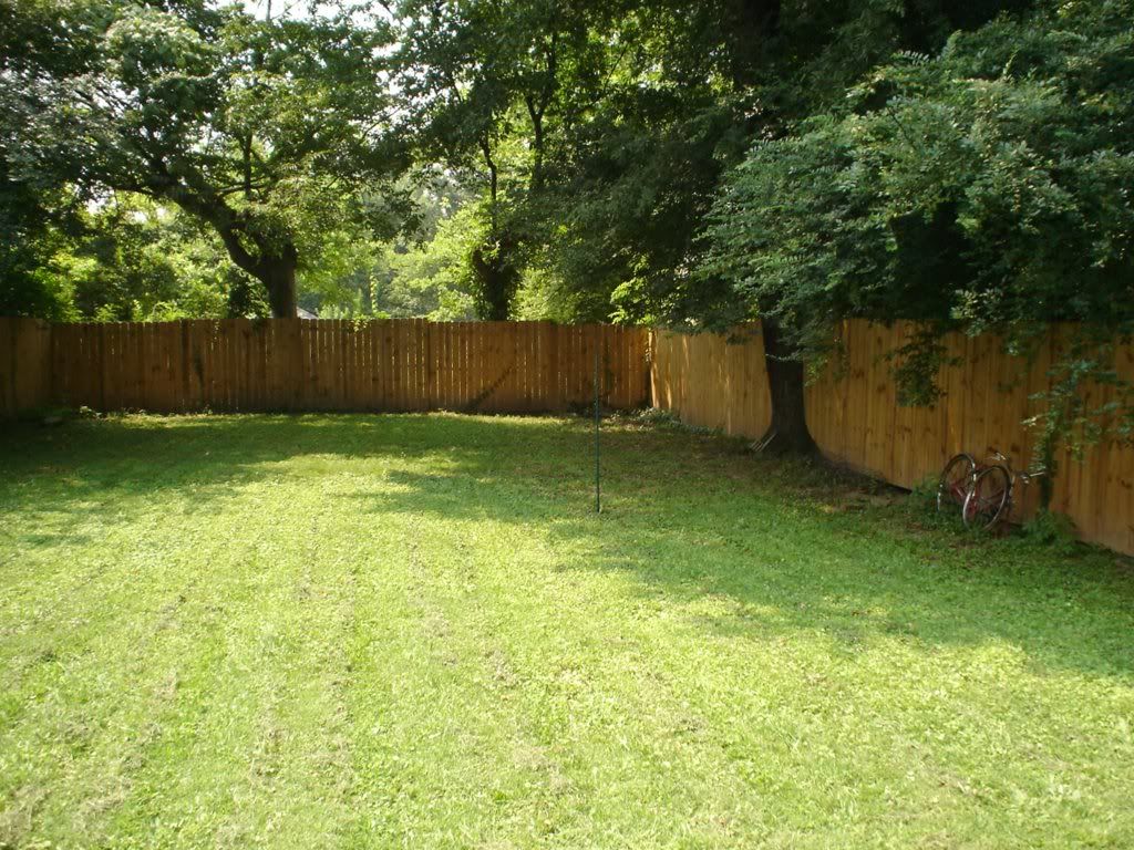 1803 Nelson: Currently NOT available: Fenced in Backyard